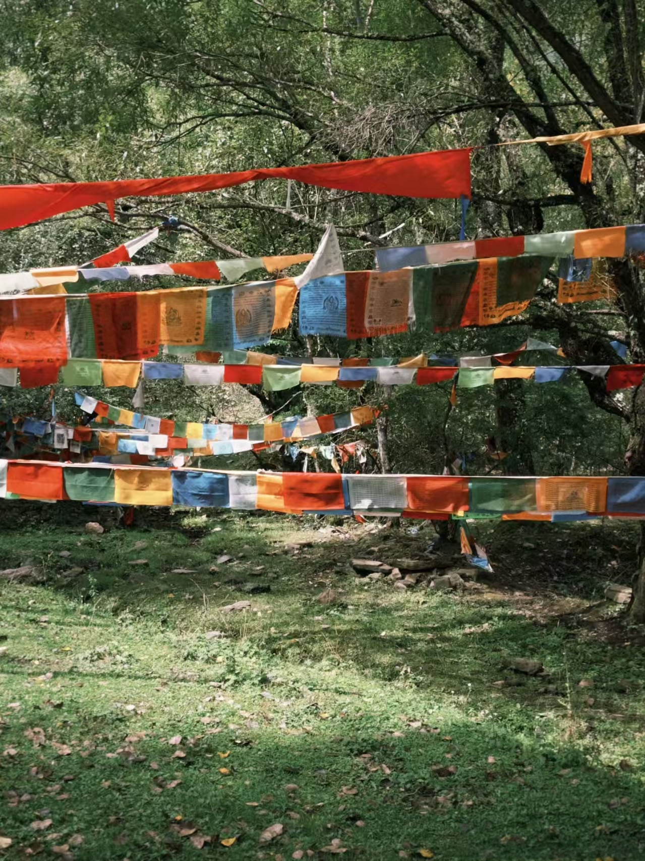 Large Tibetan Prayer Flag