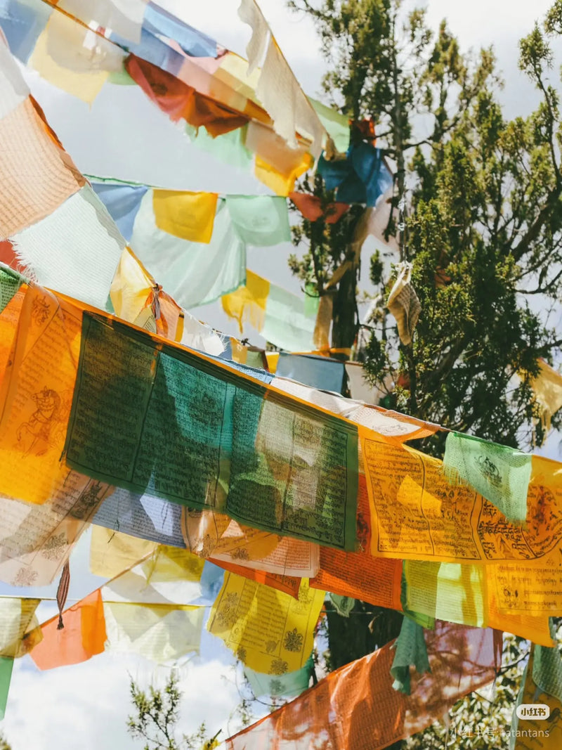 Prayer Flags (经幡)